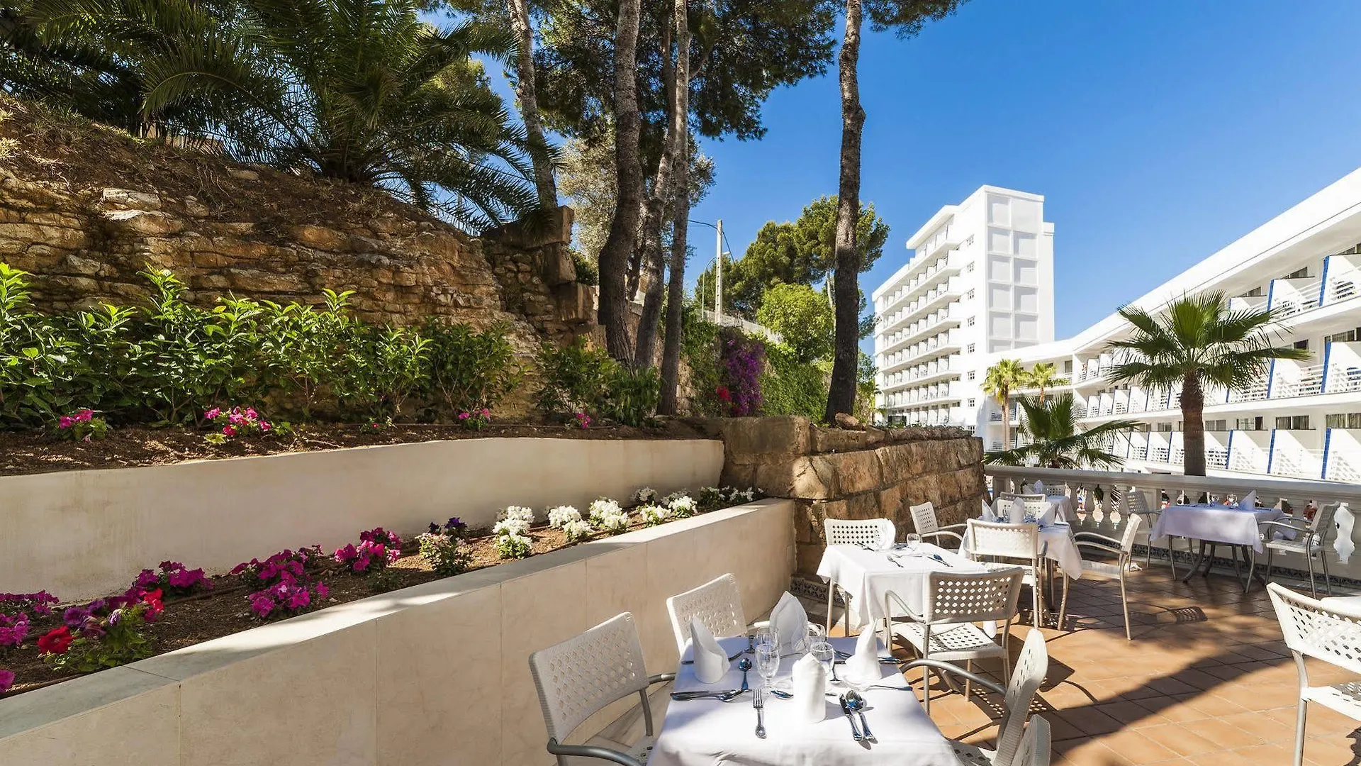 Hotel Globales Palmanova Palace (Adults Only)
